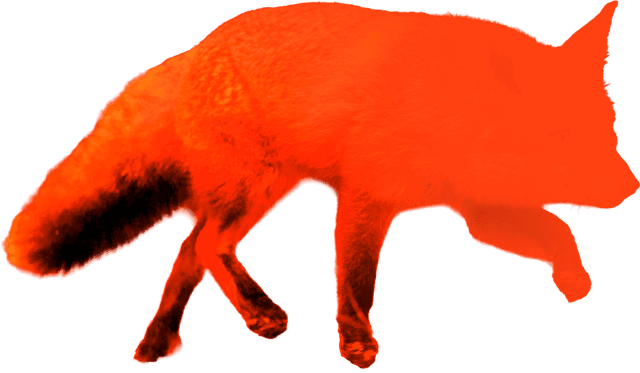 AIBO